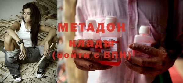 прущие грибы Бронницы
