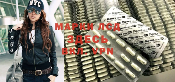 прущие грибы Бронницы