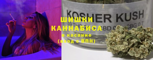 прущие грибы Бронницы