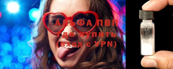 прущие грибы Бронницы