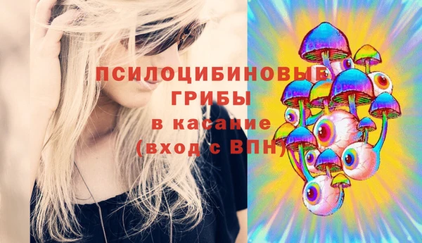 прущие грибы Бронницы