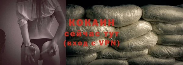 прущие грибы Бронницы