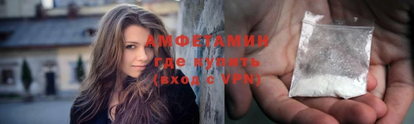 прущие грибы Бронницы