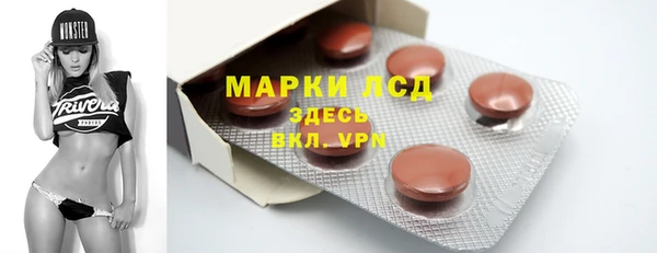 прущие грибы Бронницы