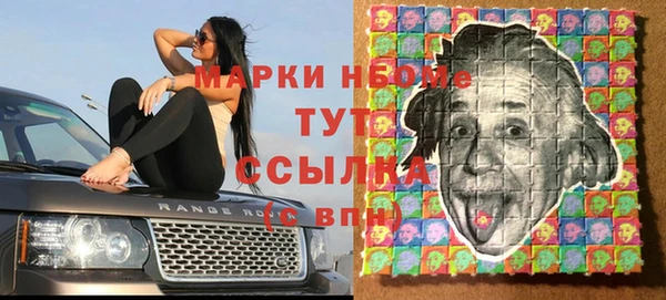 прущие грибы Бронницы