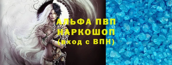 прущие грибы Бронницы