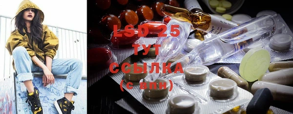 прущие грибы Бронницы