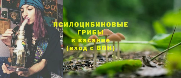 герыч Бородино