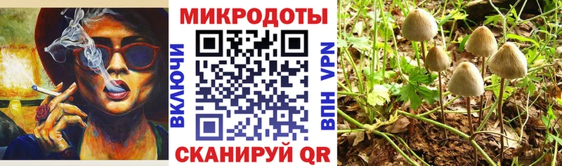 где купить наркоту  Братск  Галлюциногенные грибы ЛСД 