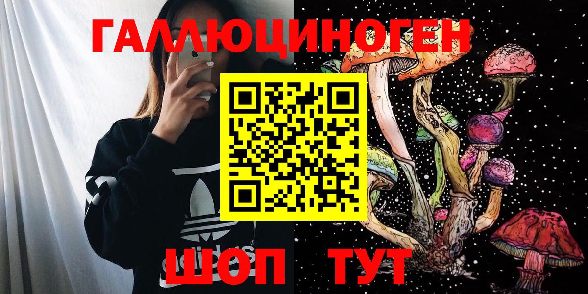 Псилоцибиновые грибы Psilocybine cubensis Братск