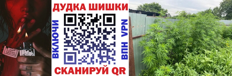 купить наркотики цена  Братск  гидра ссылки  Шишки марихуана Bruce Banner 